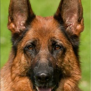 Meet your Posher, Jarrod